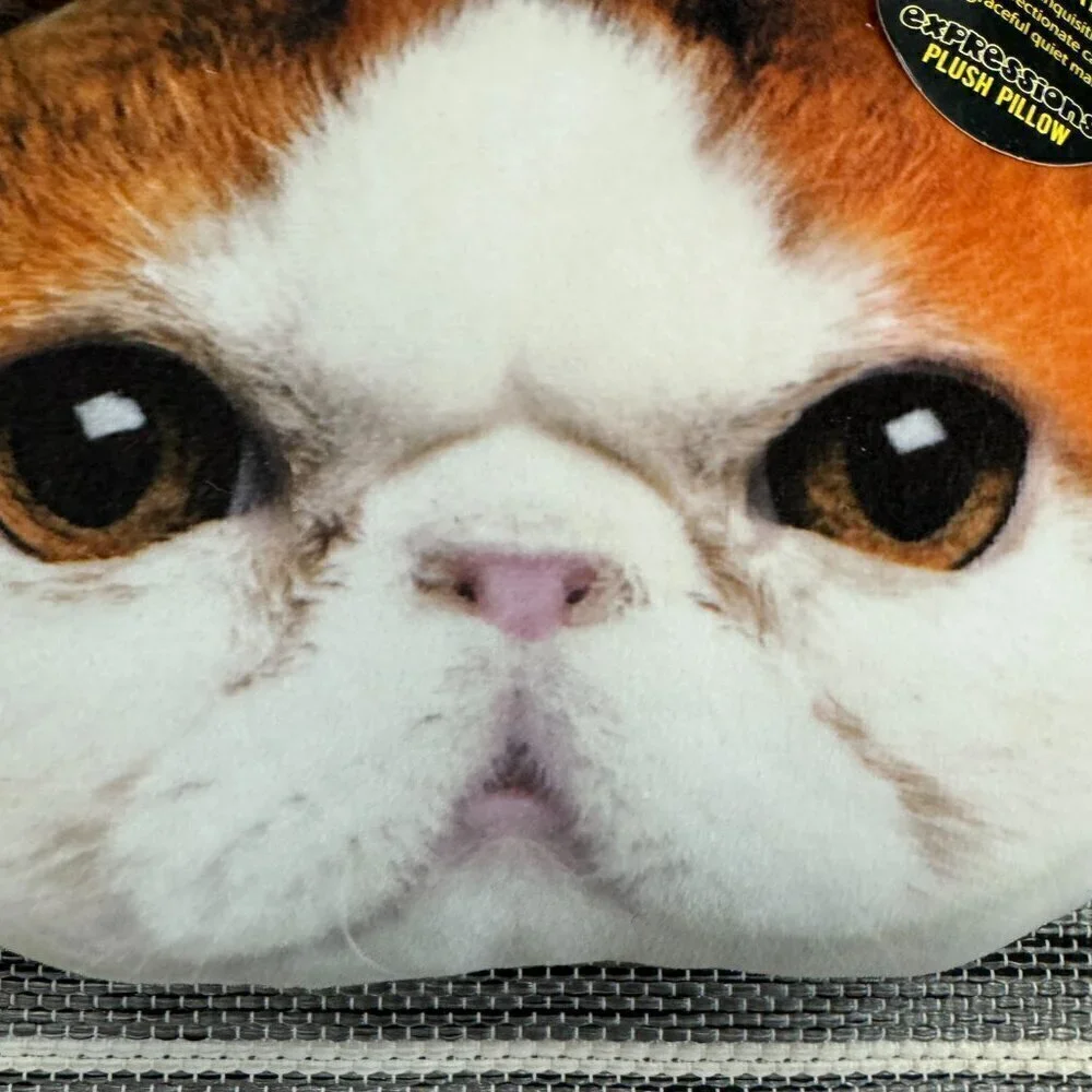 Expressions Plush Cat Pillow Exotic Shorthair Realistic Calico